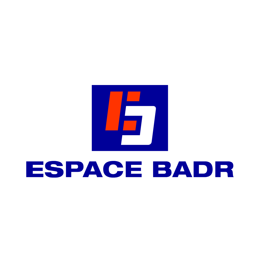 Accueil 10 Espace-Badr.png